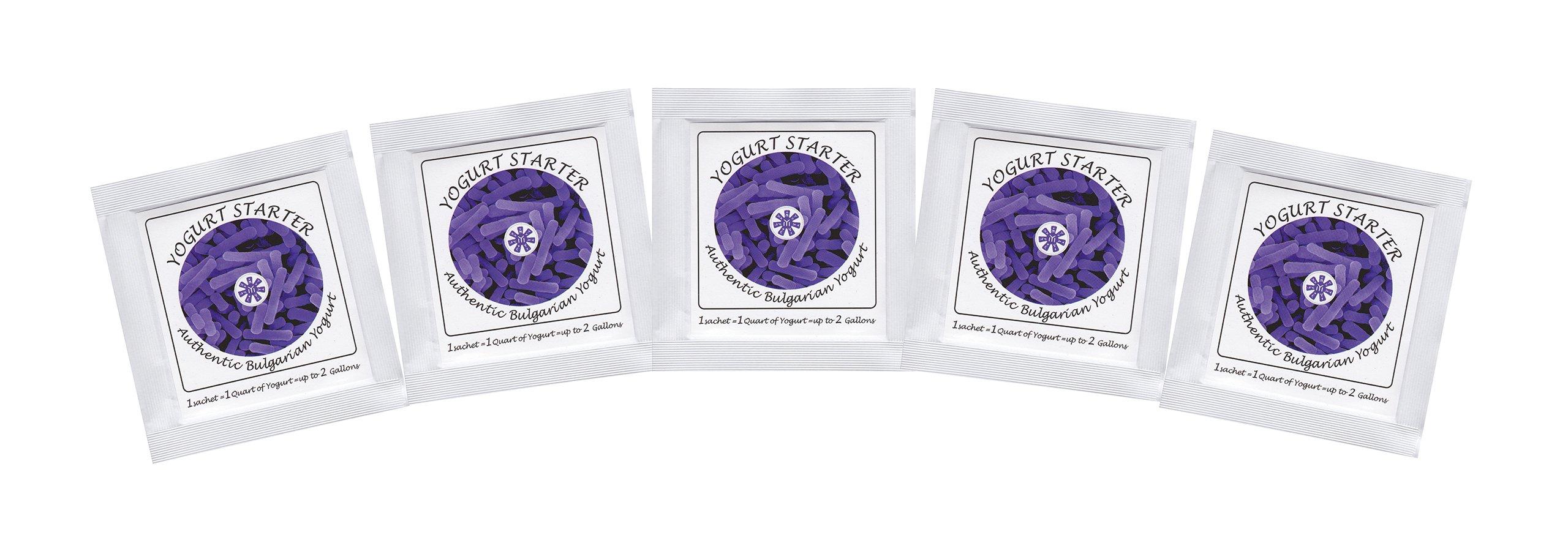Yogurt Starter Cultures for Authentic Bulgarian Yogurt - pack of 5 sachets  (0700425220310)