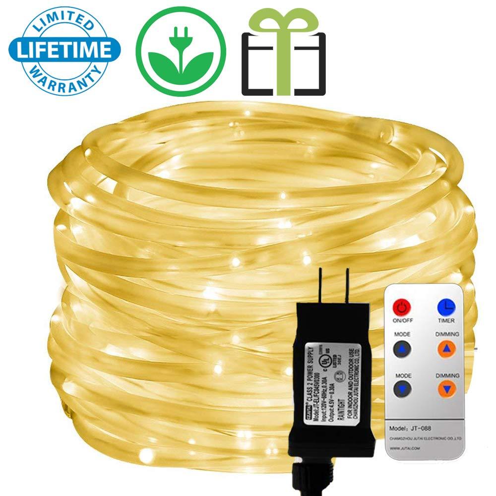 LED Rope Lights, Remote 33FT 136 LED Indoor Outdoor Rope Lights, 8